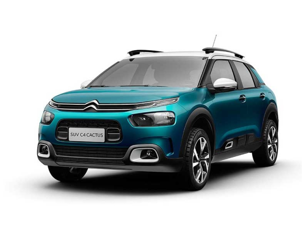 C4 Cactus